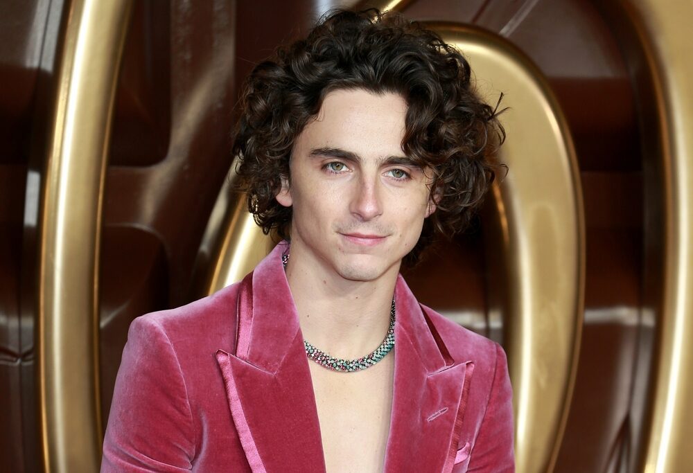 You are currently viewing Timothée Chalamet turns the internet into the thirst factory & everyone wants his Willy Wonka