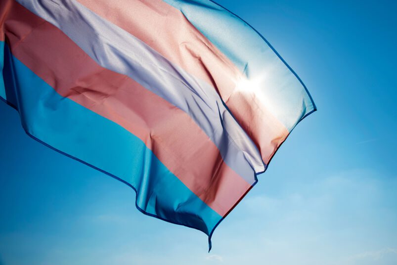 You are currently viewing Here’s a few ways you can shine more light on Transgender Day of Visibility on social media