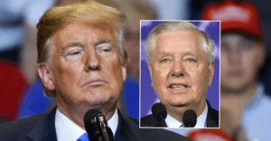 Read more about the article Donald Trump just threw Lindsey Graham under the bus